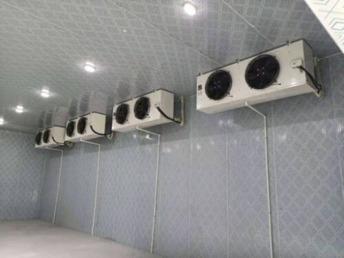 温州冷库